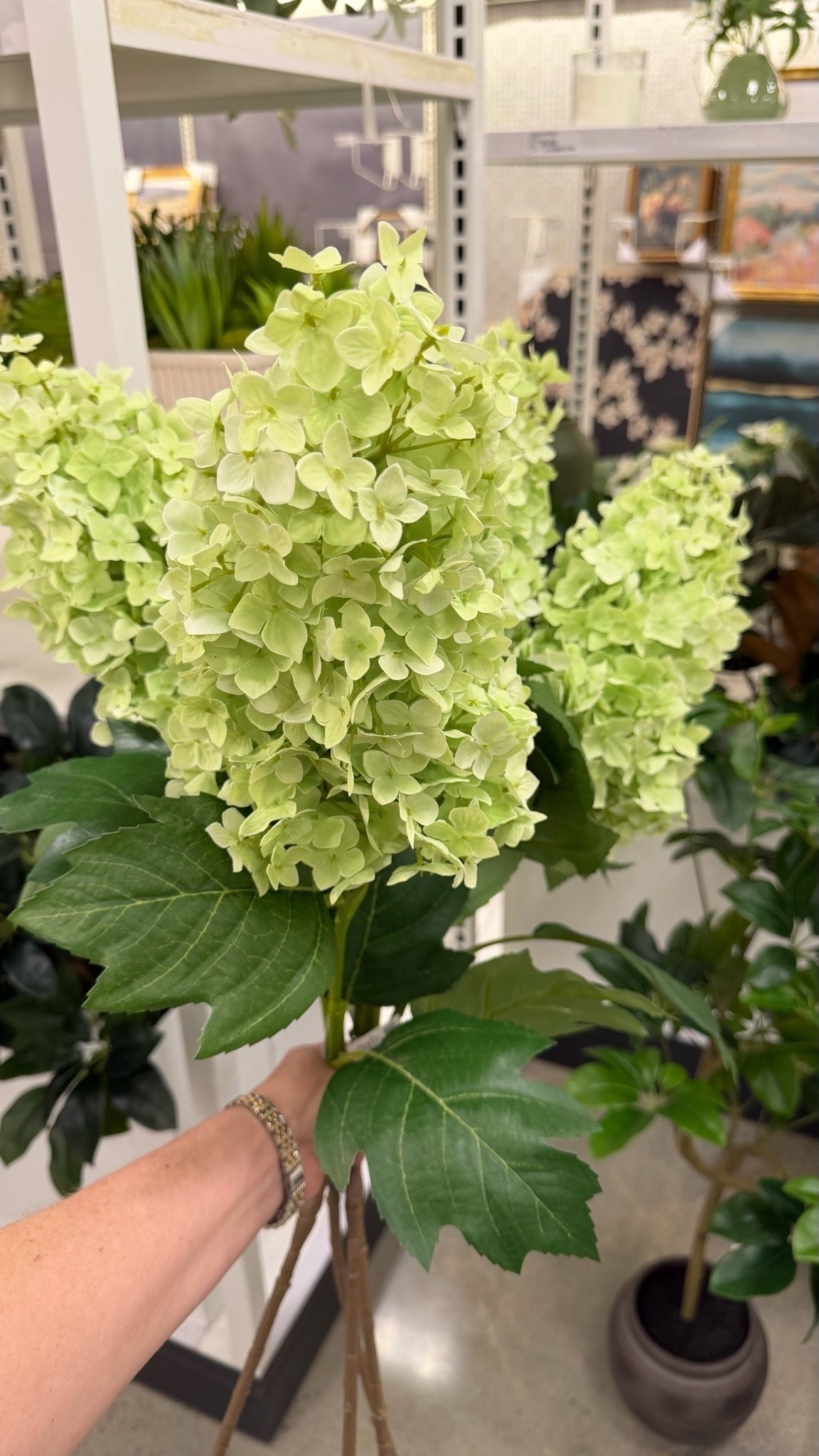 Brand NEW at Target! Are you kidding me with these green hydrangea stems - they look just like my limelight’s in the summer! SO impressed!

#LTKHome