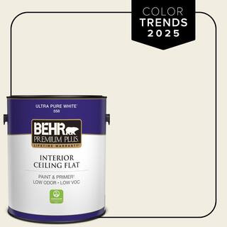 1 gal. Designer Collection #DC-003 Blank Canvas Ceiling Flat Interior Paint | The Home Depot
