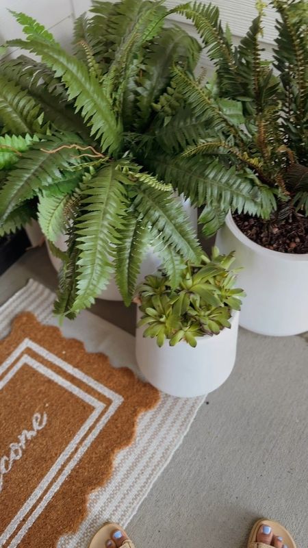 I can’t believe this Amazon fern is faux! It’s paired with a real fern and they look so good together! The planters and faux fern are on major sale for Memorial Day! Ps the faux fern comes in a set of 2!

#LTKSaleAlert #LTKSeasonal #LTKHome
