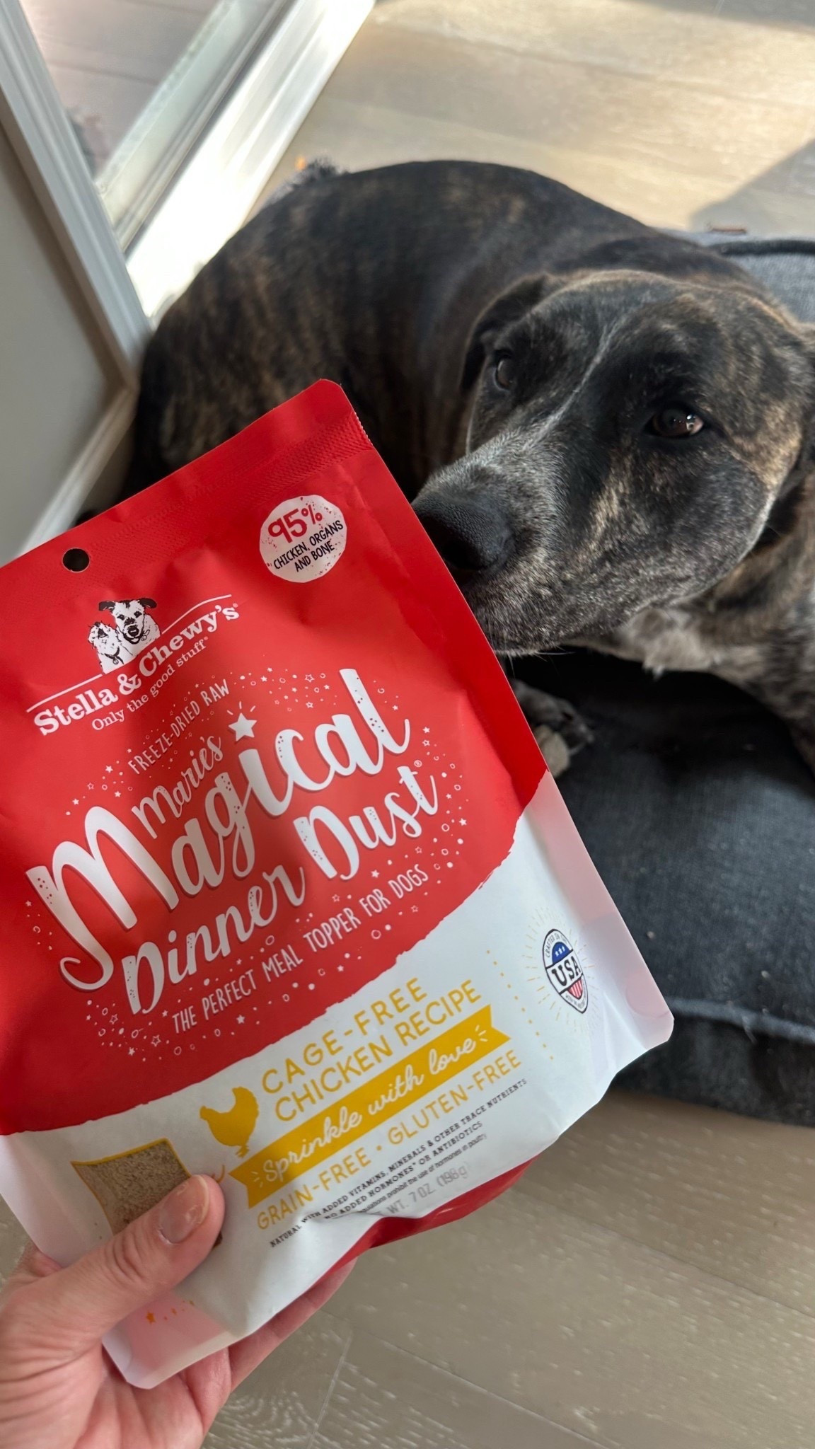 Linking up Olive’s favorite Stella & Chewy’s Freeze-Dried Raw! We add this to her kibble for better taste & nutrition!

@Target @Stellaandchewys #target #stellaandchewys #stellaattarget

#LTKFindsUnder100 #LTKdayinmylife #LTKFindsUnder50