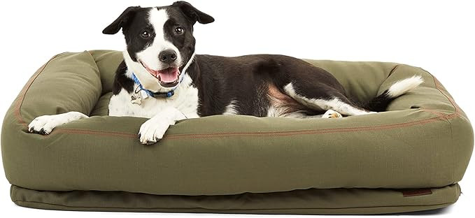 Reddy Petco Brand Indoor/Outdoor Dog Bed, 40" L X 30" W, Olive, Large | Amazon (US)
