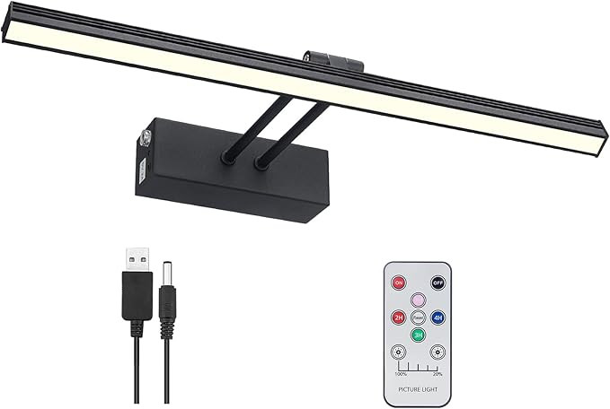 FUNCHDAY Picture Light, Remote Control Art Light with Dimmable, Timer Preset Picture Lights for P... | Amazon (US)