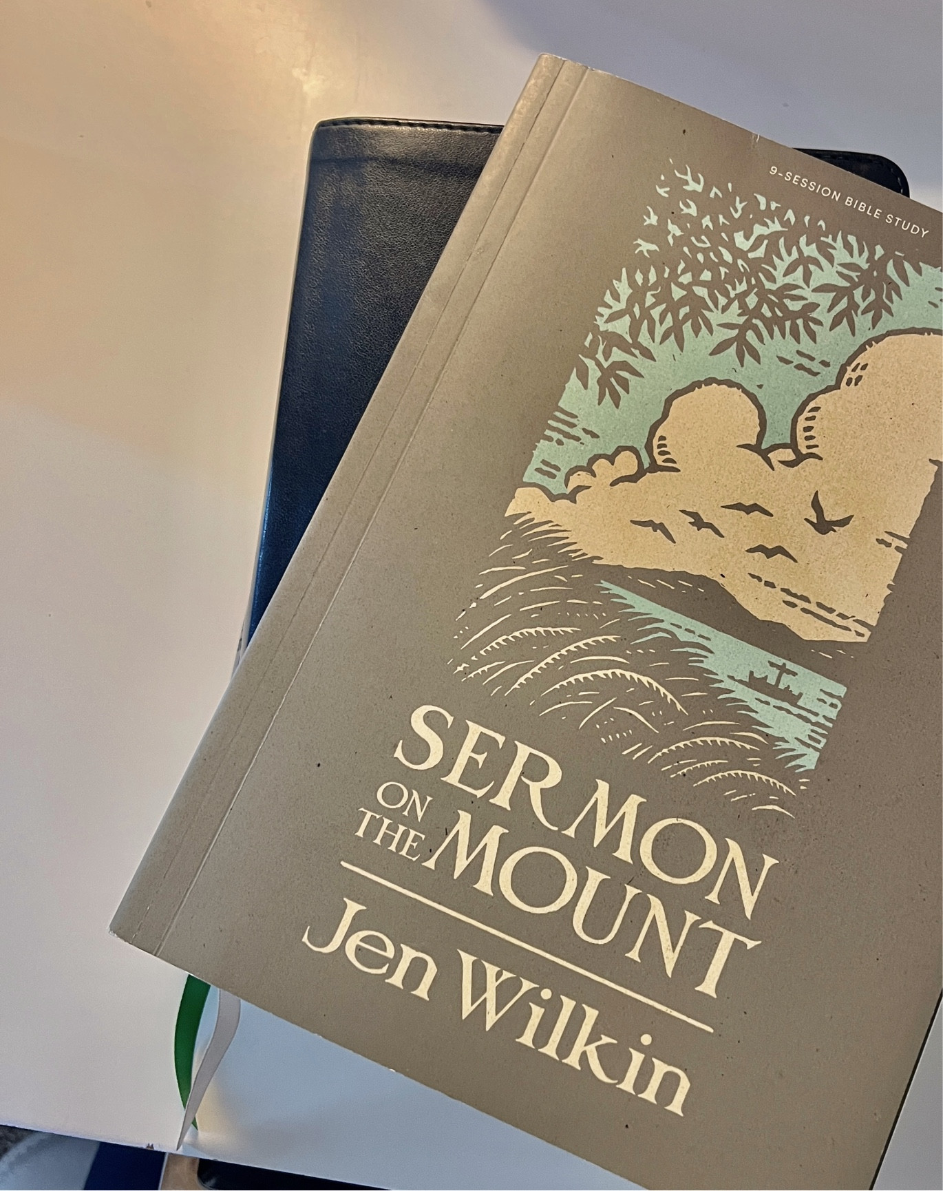 Current Bible study book + the Bible I use daily! I also linked some of my other bstud essentials - all are on Amazon 💕

#LTKhome #LTKfindsunder50 #LTKU
