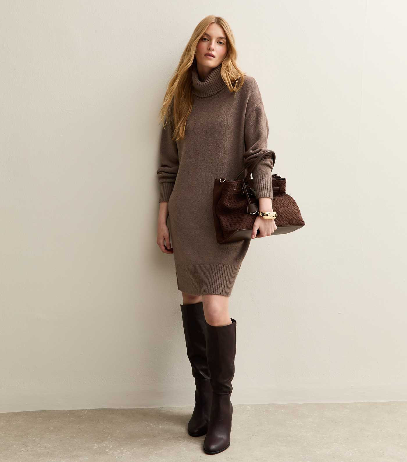 Mink Midweight Knit Roll Neck Mini Dress | New Look | New Look (UK)