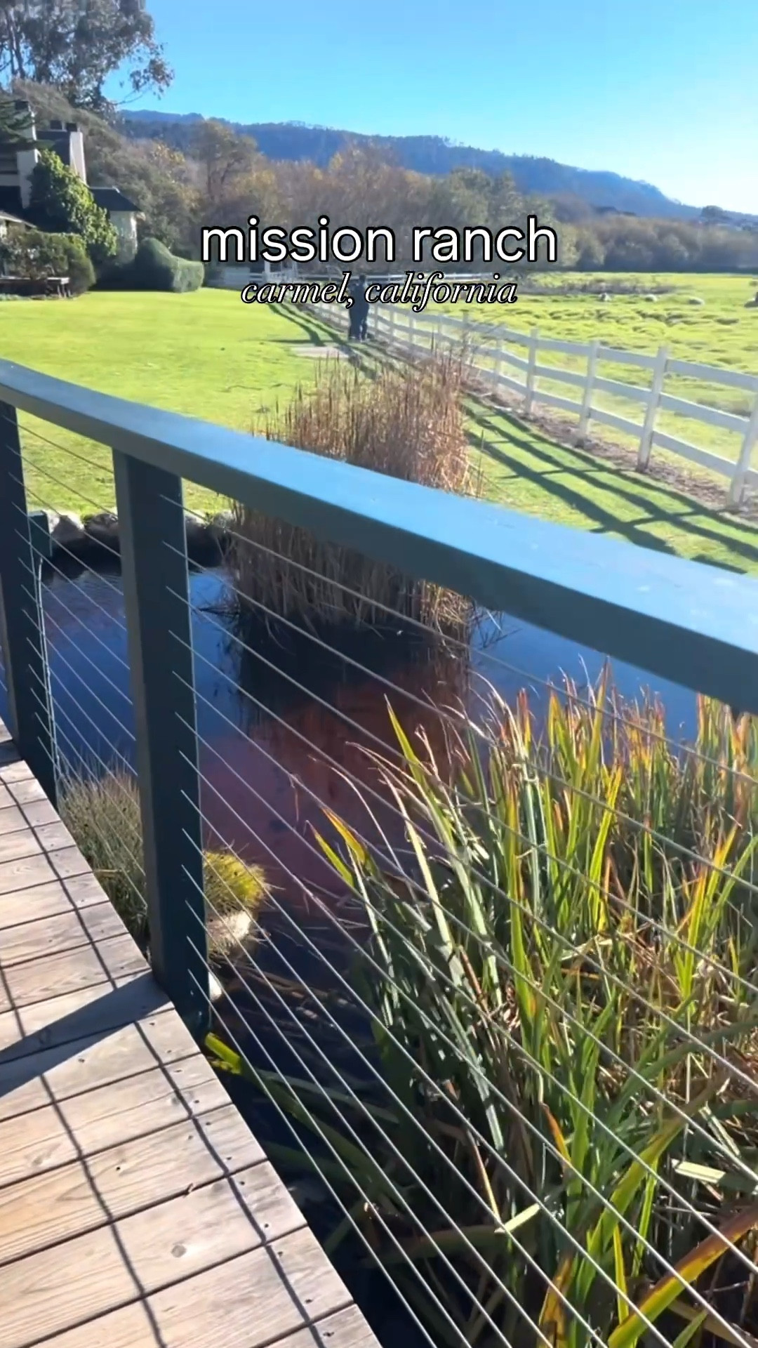 Crème Brûlée or Jell-O? Dessert at Mission Ranch

Inspired by the iconic dessert debate from My Best Friend’s Wedding. If you know the scene, you know. Are you the crème brûlée… or the jell-o?

Dining and drinks and dessert at one of my fave Carmel spots, Mission Ranch Restaurant. Sunset views here are everything. It is the kind of place where you settle in with a drink, order dessert, and watch the golden light move across the meadow.

I layered a cozy vacation sweater with a classic denim jacket which felt perfect for the cool Carmel coastal evening. Easy, relaxed, and ideal for sunset dinners by the coast.

#missionranch #carmelbythesea #carmelstyle #coastalcalifornia #mybestfriendswedding

mission ranch carmel | carmel by the sea restaurants | carmel california sunset dining | coastal california outfit | carmel travel style | california coastal dining | mission ranch restaurant carmel | sunset dinner carmel | cozy sweater outfit | denim jacket outfit women | carmel by the sea travel guide

#LTKfoodie #LTKvlog #LTKdayinmylife