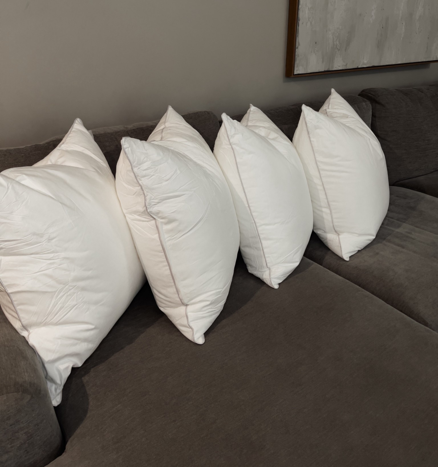 Pillow inserts! 

#amazonfavorites #amazonlivingroomfinds #amazonlivingroomfavorites
#amazonhomemusthaves #amazonhome #amazonhomefinds #amazonhomedecor #amazonhomefavorites #amazonhomefind #amazonhomemusthaves #amazonlivingroom

#LTKHome