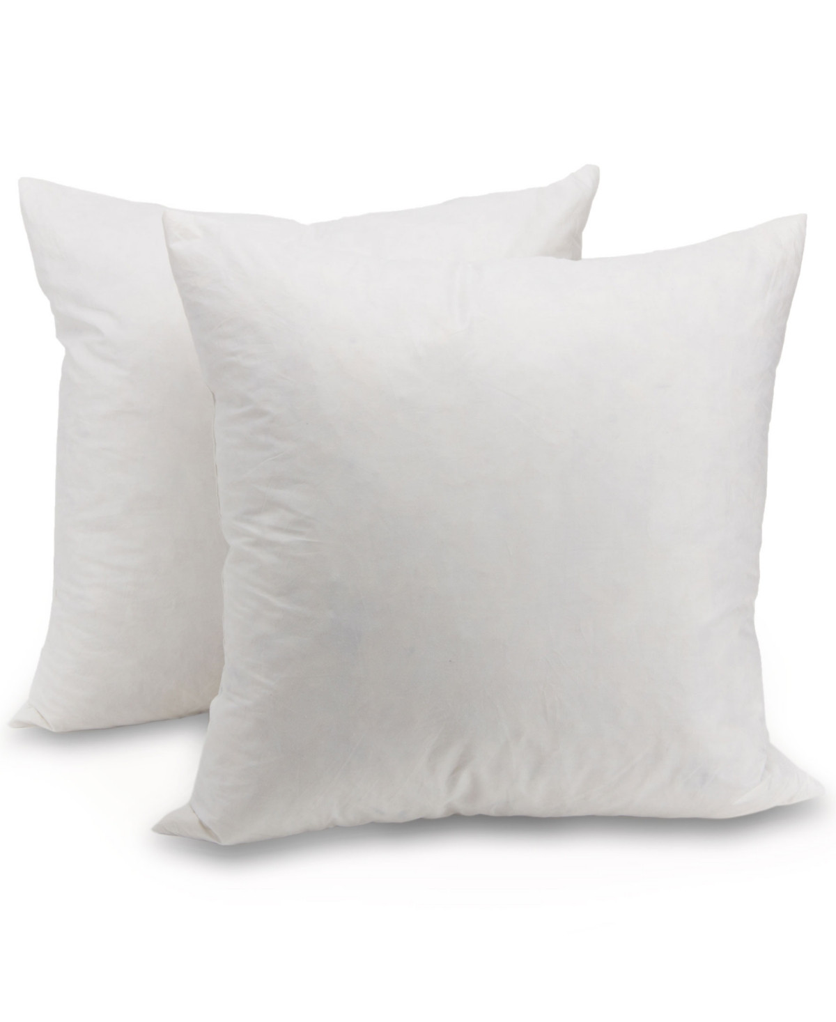 Feather 20"x20" Throw Pillow | Macys (US)