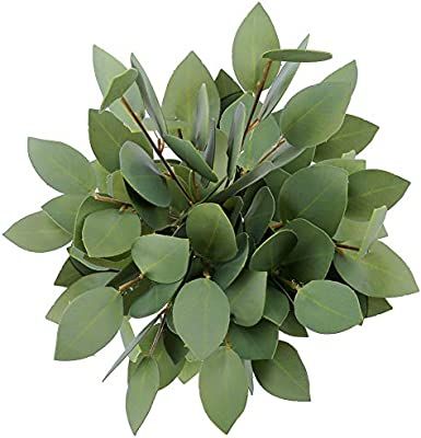 Greentime 8 Pack Artificial Eucalyptus Heart-Shaped Leaf Floral Stem Faux 13 Inches Greenery Euca... | Amazon (US)