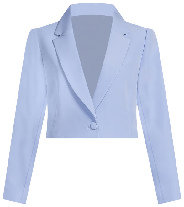 Sadie Cropped Long Sleeve Notch Lapel Coordinating Blazer | Dillard's