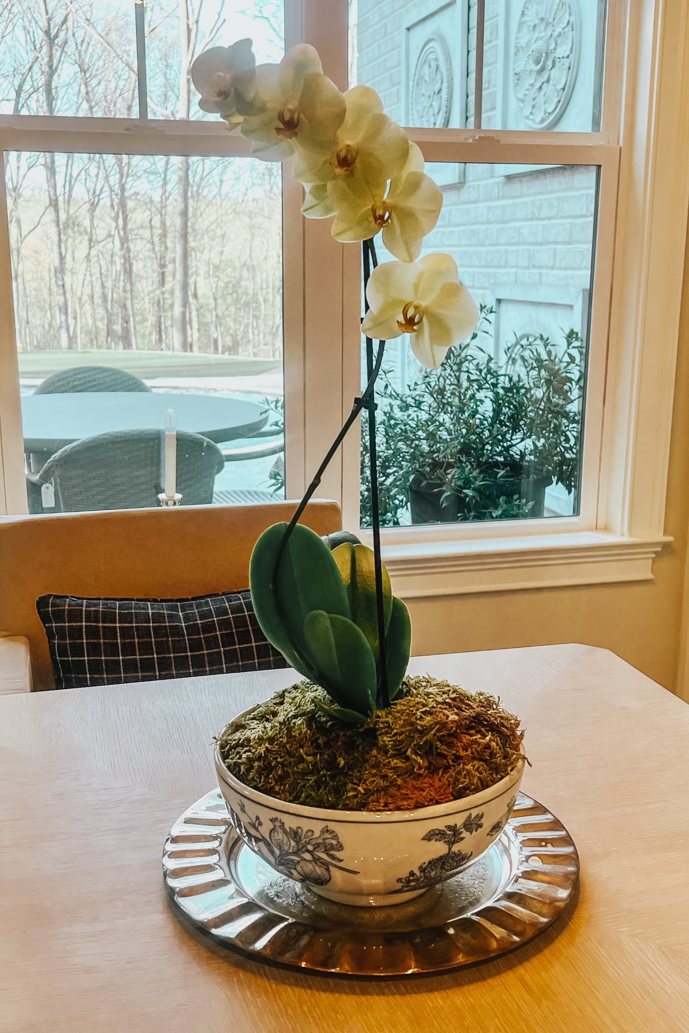 It’s orchid season...

#LTKHome #LTKSeasonal #LTKU