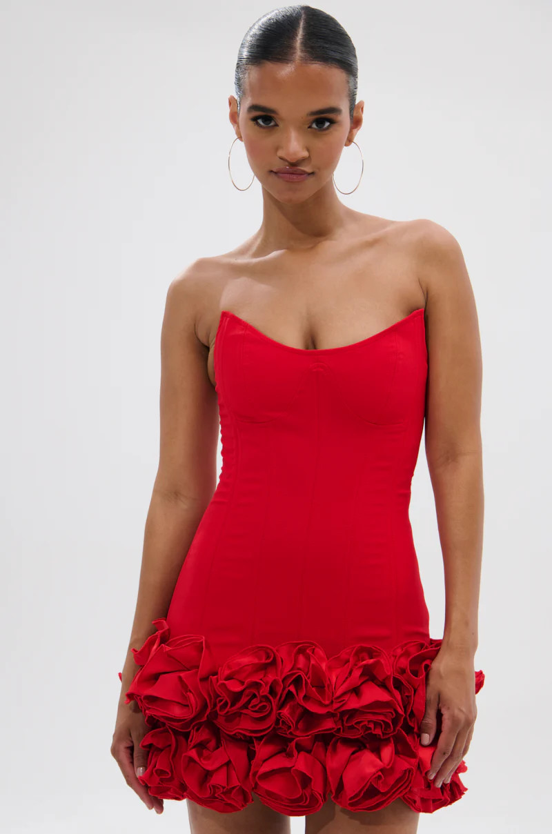 ROSES ARE RED CORSET MINI DRESS | AKIRA