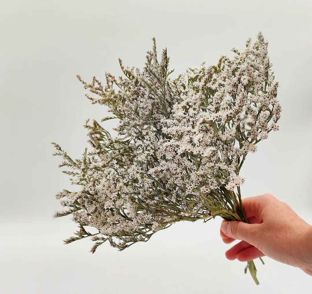 Dried Statice Bunch  White Wedding Flowers  Goniolimon - Etsy | Etsy (US)