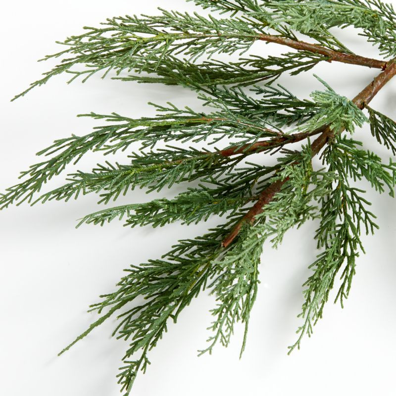 Faux Cypress Stem + Reviews | Crate and Barrel | Crate & Barrel