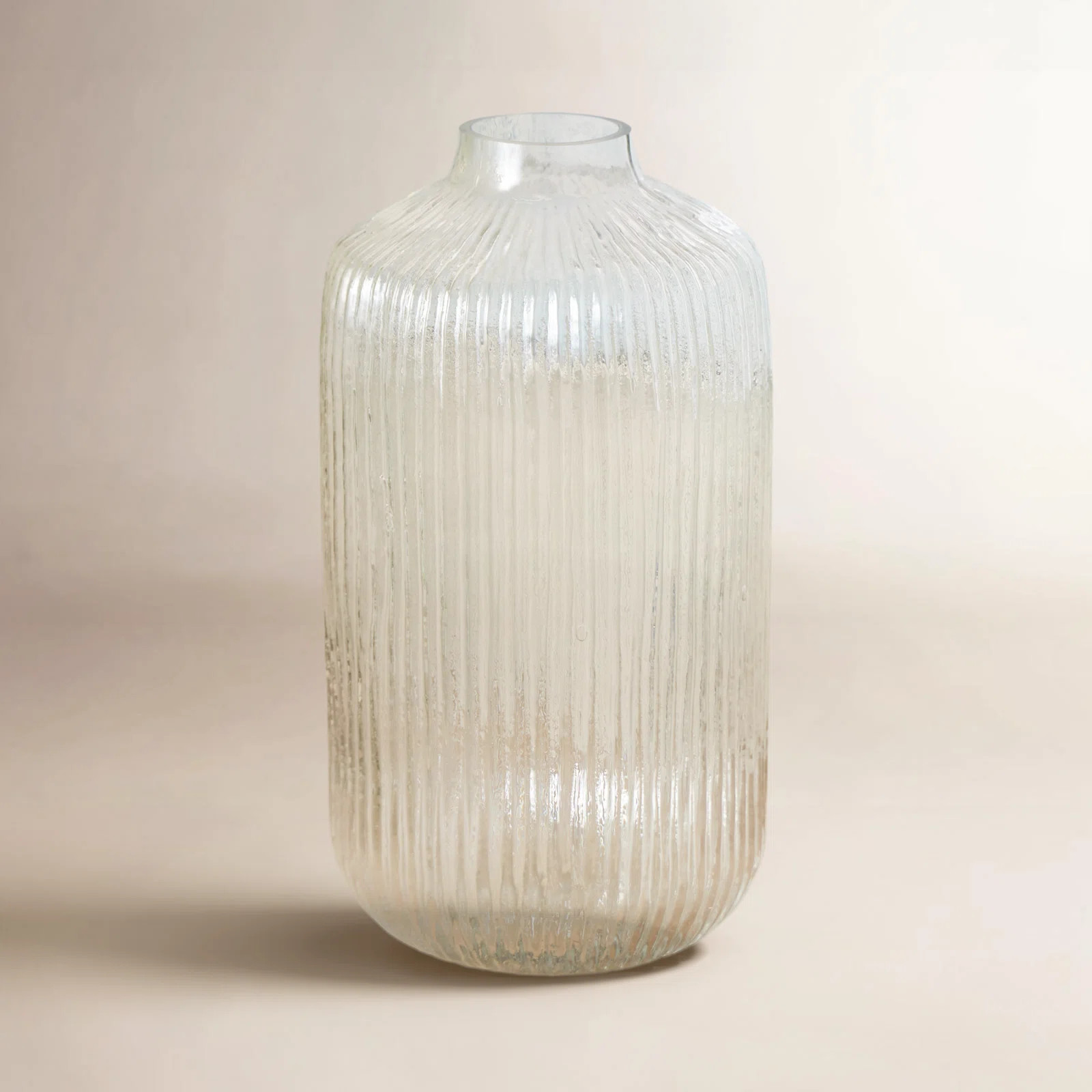 Cole And Grey Glass Ribbed Vase | Birch Lane