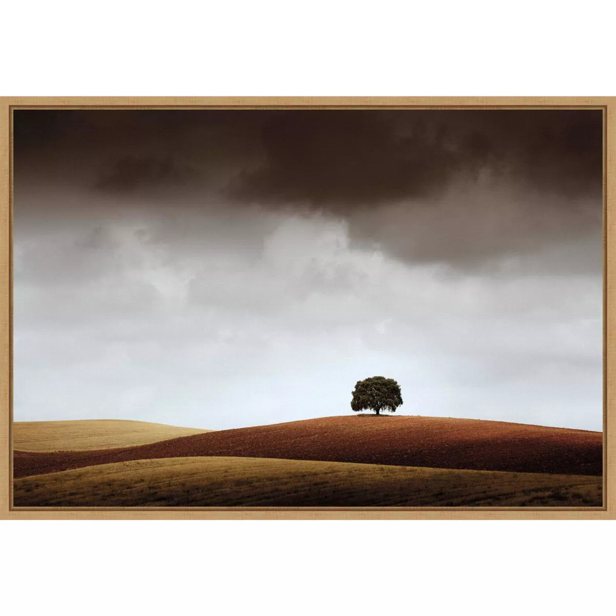 Amanti Art 23" x 16" Distant Tree and Horizon by Alberto Merchan Framed Wall Canvas : Landscape A... | Target