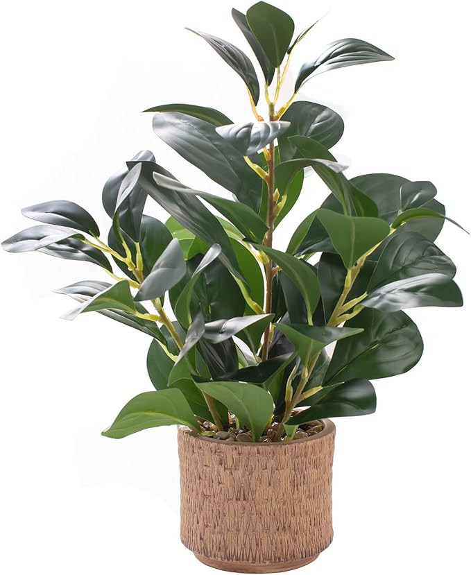 12.6" Fake Plants in Brown Ceramic Vase Real Looking and Touching Evergreen Ficus Leaf Faux Plant... | Amazon (US)
