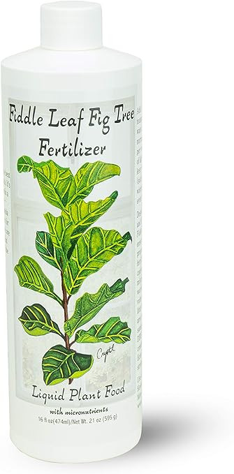 Fiddle Leaf Fig Tree Fertilizer (16 oz) Ficus Plant Food | Improves Leaves and Branches | Potted ... | Amazon (US)