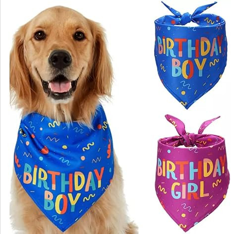 Dog Birthday Bandana, Confetti Dog Birthday Bandana for Girl or Boy (Pink/Girl) | Amazon (US)