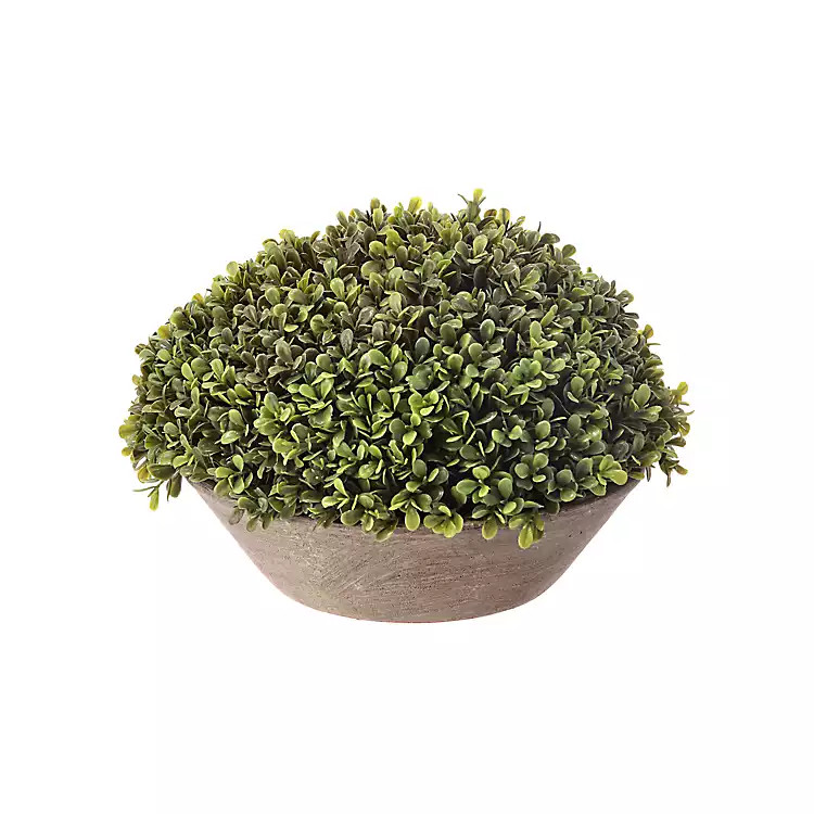 Round Boxwood Arrangment in Gray Dish | Kirkland's Home