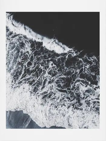 Ingrid Beddoes Sea Lace Art Print | Nordstrom