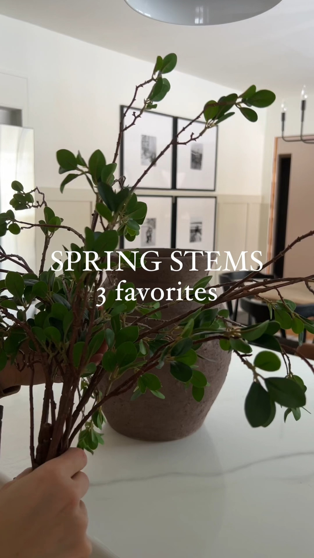3 stems I’m loving for spring and how I styled them 


#LTKStyleTip #LTKFindsUnder50 #LTKHome
