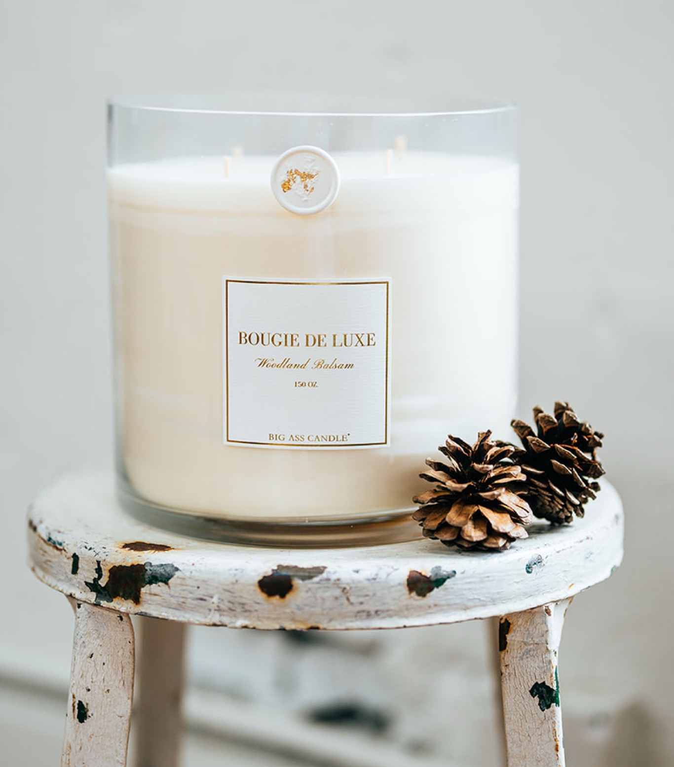 Big Ass Candle for the candle lover🕯️ 

#LTKHome #LTKHoliday #LTKGiftGuide