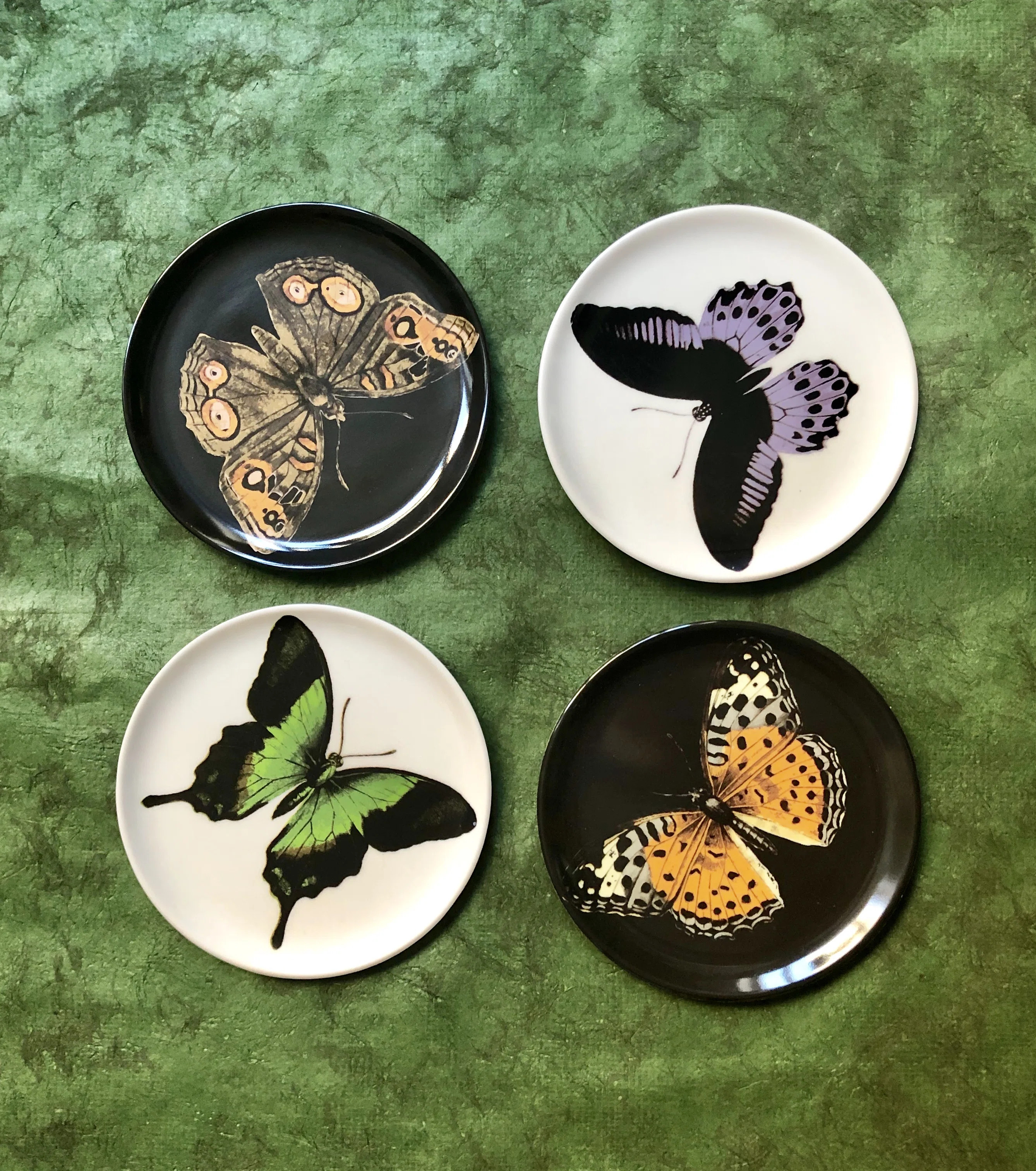 Metamorphosis Round 4 Piece Coaster Set | Wayfair North America