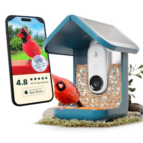 Bird Buddy Pro Solar Smart Bird Feeder with Camera - Ai Bird Species Identification, 5Mp Photos, 2K Ultra Video Live Stream Camera, Slow-Motion Video, 2.6In Focus - Blue Solar | Amazon (US)