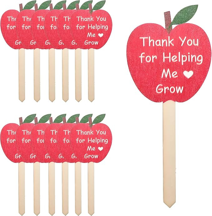 12 Pcs Thank You for Helping Me Grow Succulent Tags Teacher Appreciation Gifts Plant Stakes Label... | Amazon (US)