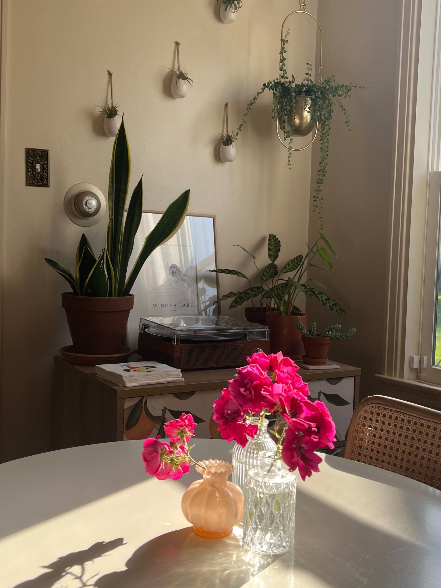 Brining nature indoors with house plants and flowers 💐

#LTKFindsUnder50 #LTKHome