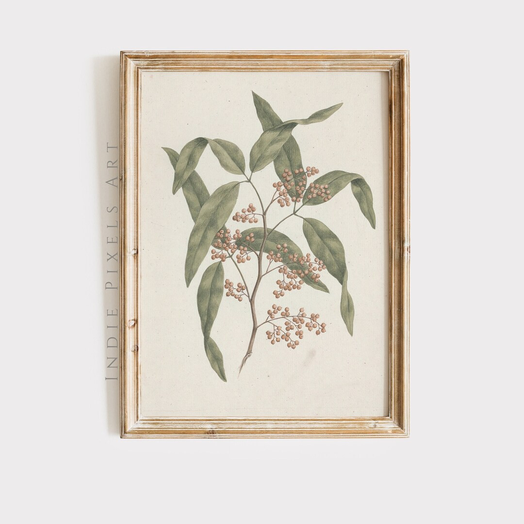 Sage Green Botanical Print Country Vintage Kitchen Decor Sage Green European Living Room Spring D... | Etsy (US)