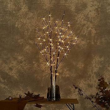LITBLOOM Lighted Brown Willow Branches 30IN 100 LED with Timer Battery Operated, Tree Branch with... | Amazon (US)