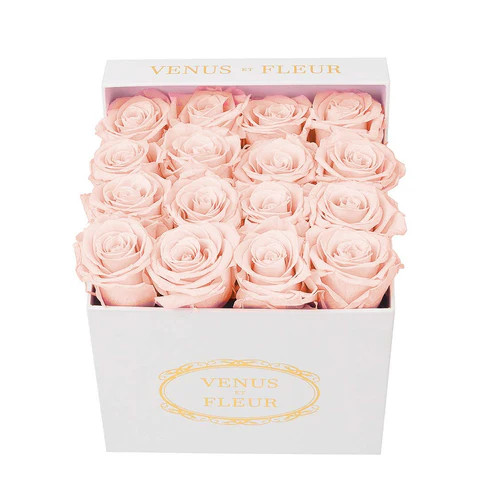 Small Square | Venus ET Fleur