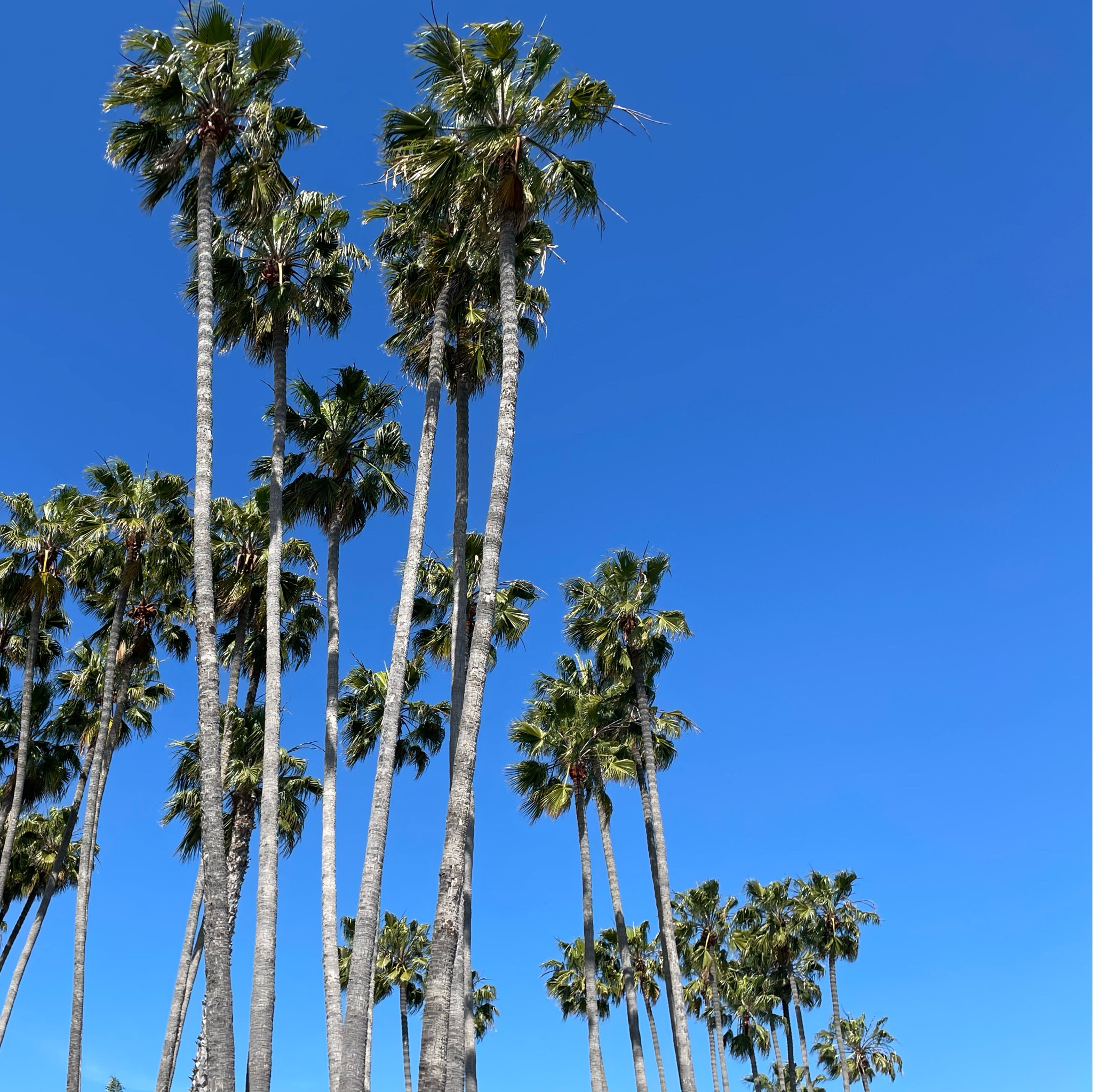 Summer Suits and Sandals on Sale 🧥👔 👡 

#LTKSaleAlert #LTKFindsUnder100 #LTKWorkwear