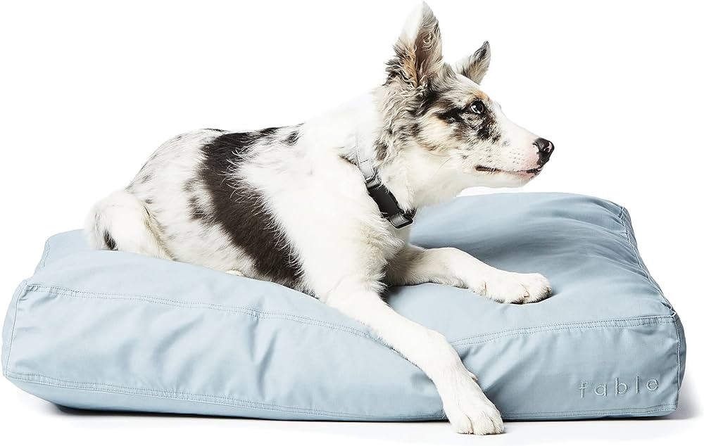 FABLE Dog Bed - Washable Dog Bed – Minimalist Design – Water Resistant, Easy to Clean Exterio... | Amazon (US)