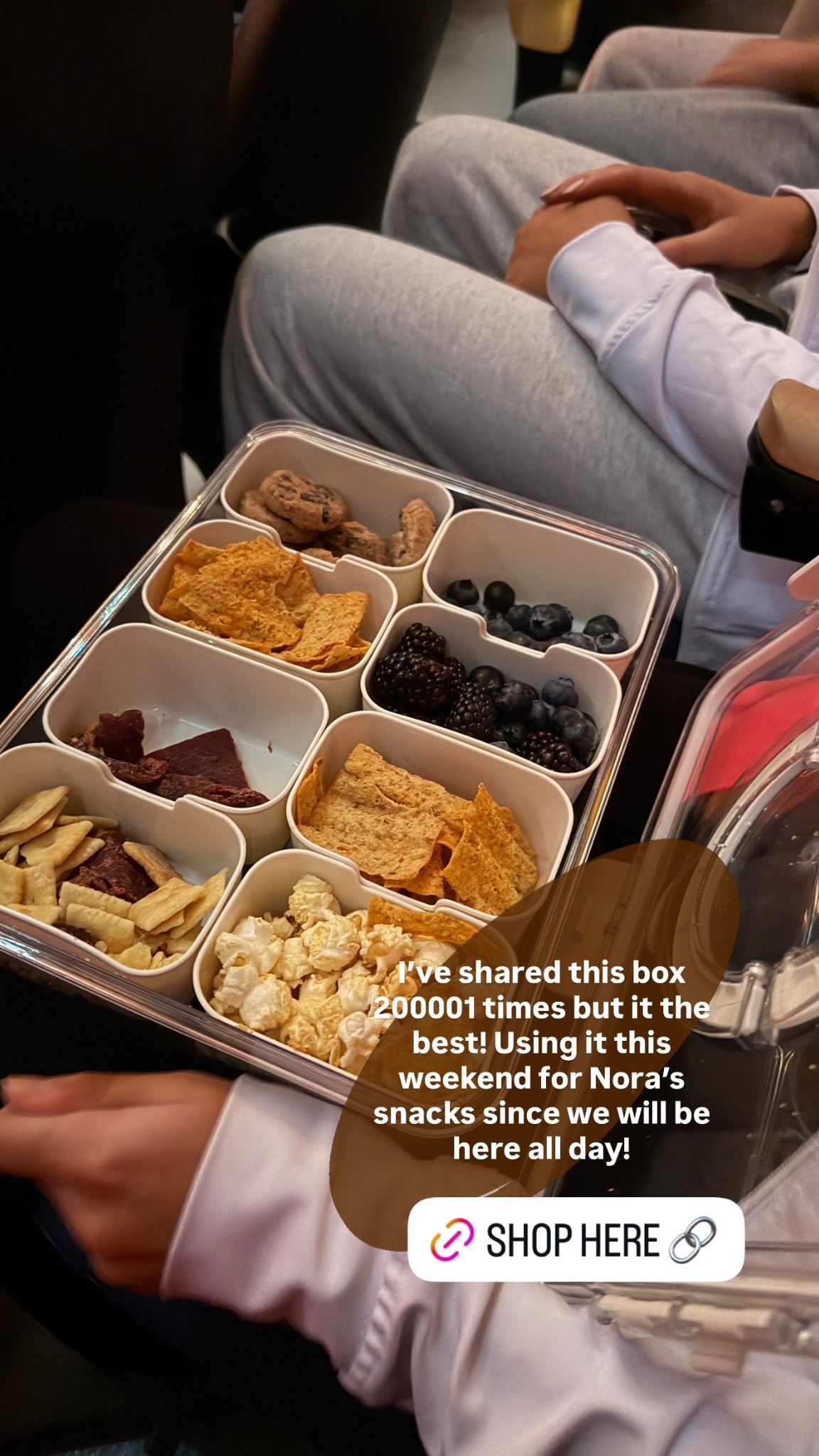 I’ve shared this box 200001 times but it the best! Using it this weekend for Nora’s snacks since we will be here all day!