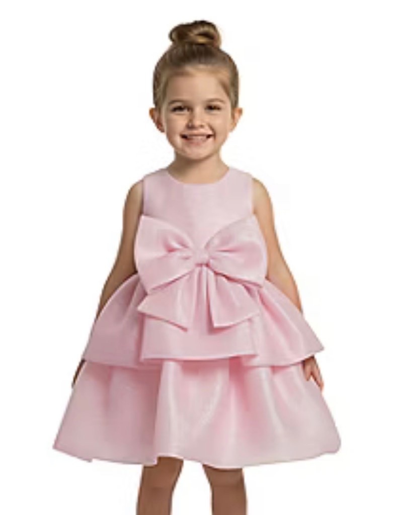 Gorgeous toddler dress over 50% off! Bonnie jean. Girls dress. Girls formal dress. Girls wedding dress. Daddy daughter dance. Wedding dress for girls. Toddler girls. Toddler girls dress. Baby girls. Baby girls dress. Sibling matching

#LTKSaleAlert #LTKKids