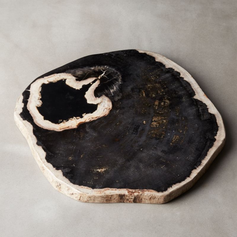 Ring Petrified Wood Serving BoardPurchase now and we'll ship when it's available.    Estimated i... | CB2