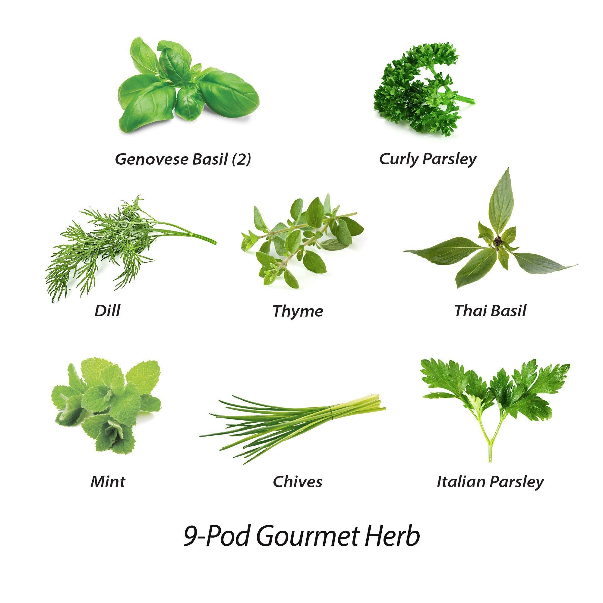 9-Pod Gourmet Herbs | Walmart (US)