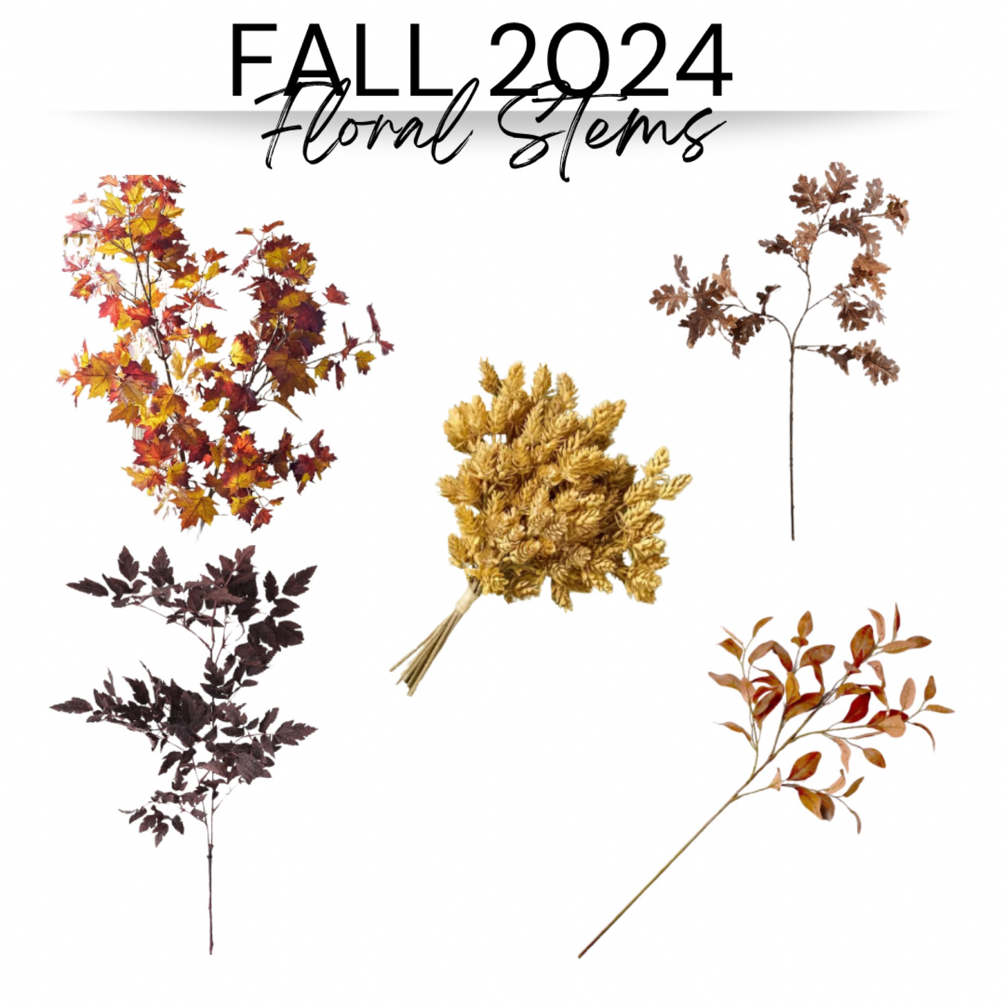 Favorite FALL floral stems!
#fallflorals #fallstems #fall2024 #fallhomedecor

#LTKStyleTip #LTKMidsize #LTKHome