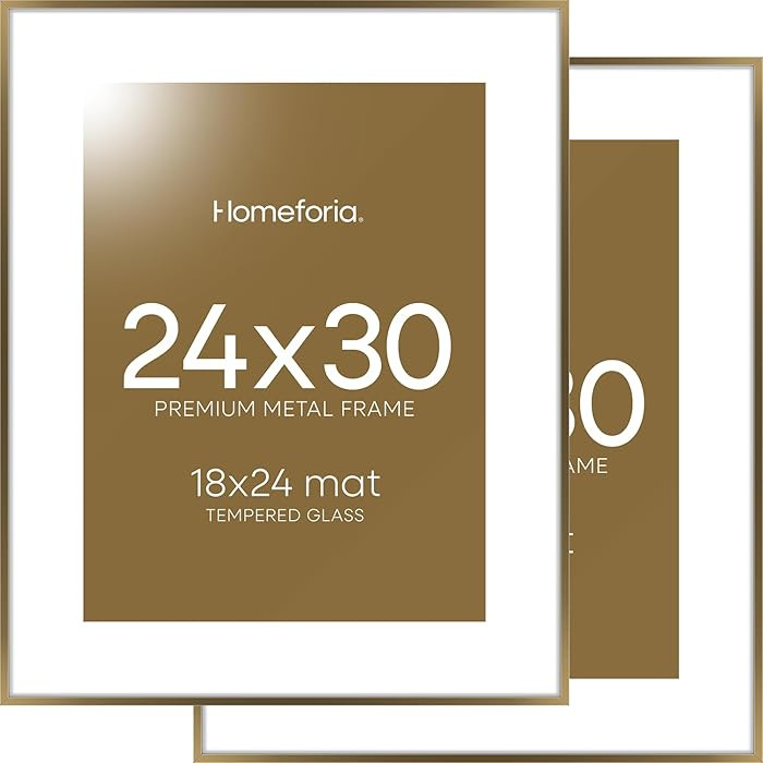 Homeforia 24 x 30 Bronze Frame, High End Metal 24x30 Large Poster Frames with Mat 18x24 for Photo... | Amazon (US)