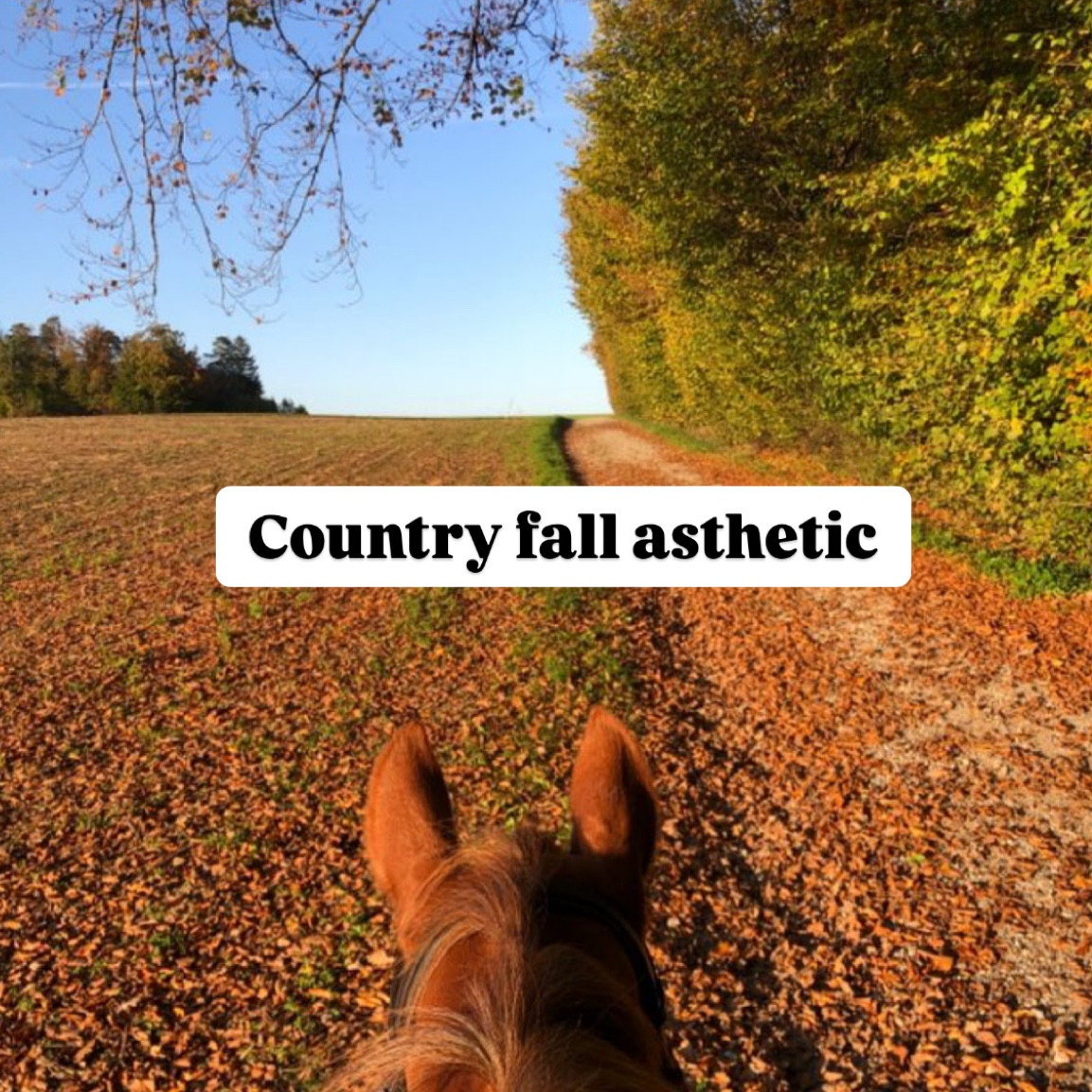 #LTKHoliday #LTKStyleTip #LTKSeasonal