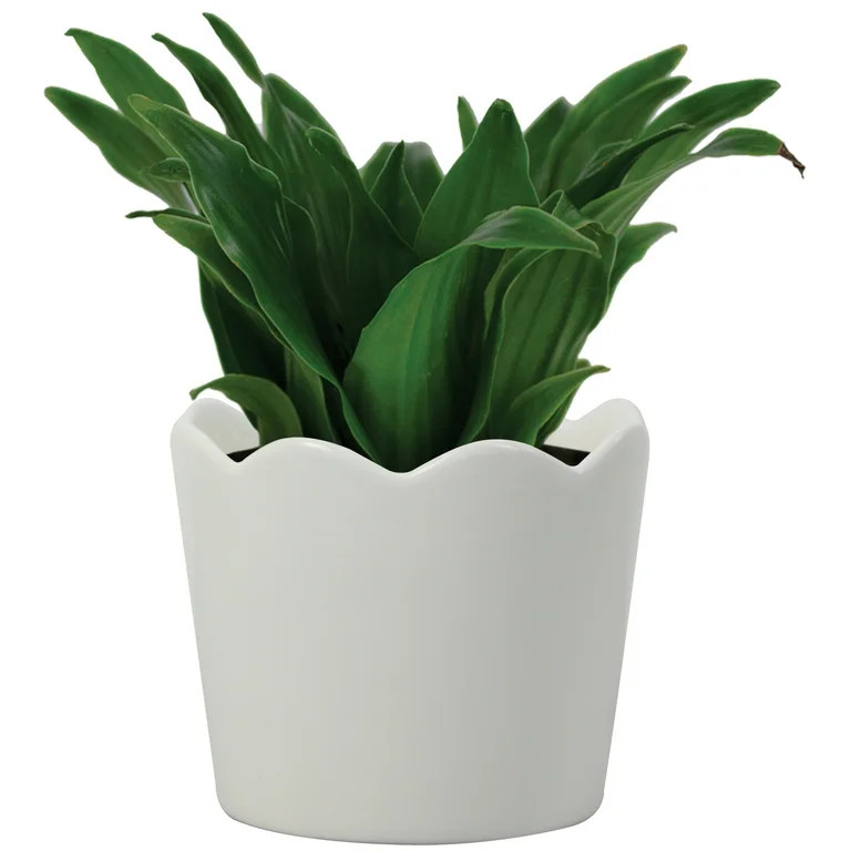 Mainstays 6in Scallop White Ceramic Round Planter | Walmart (US)