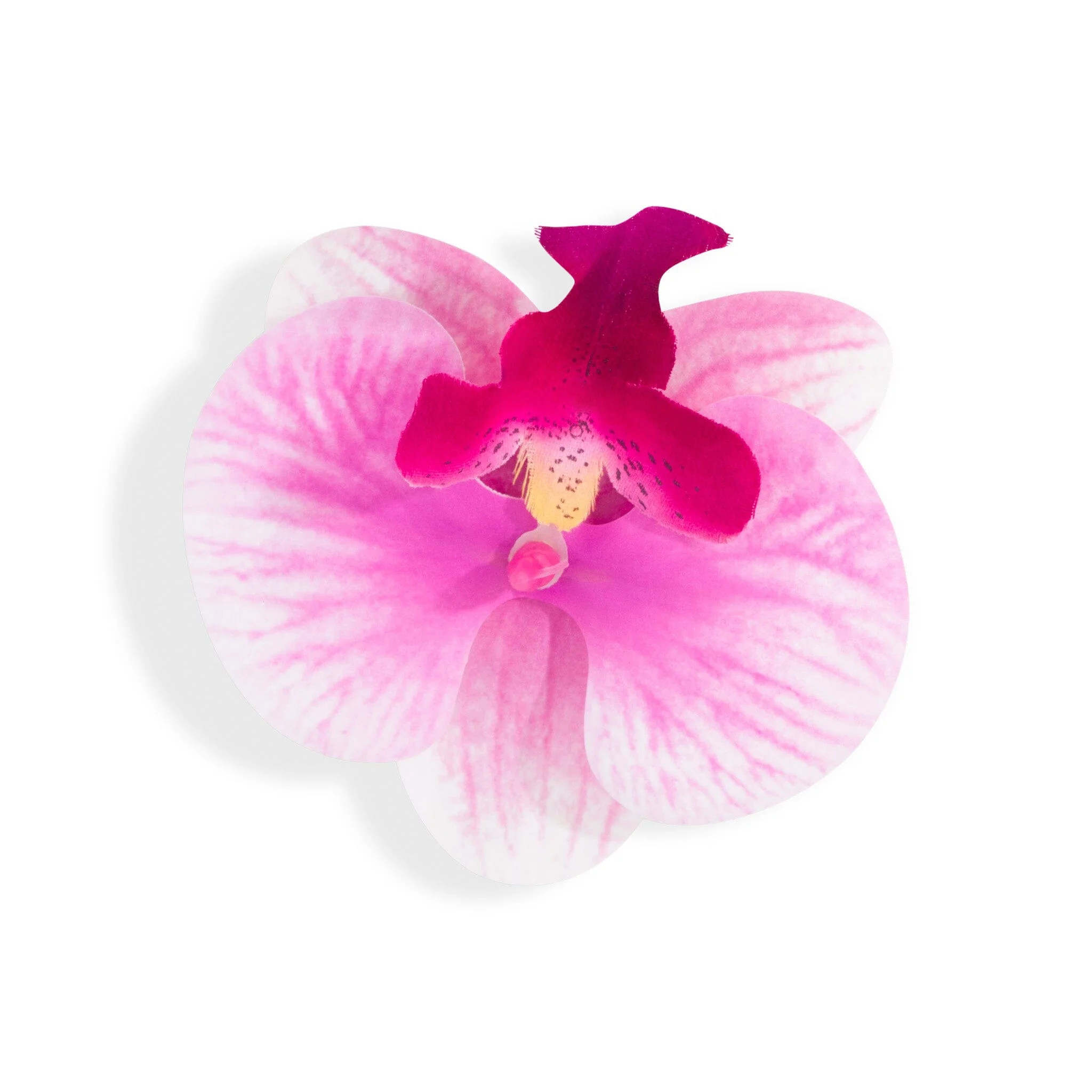ORCHID FLOWER PINK | Outcast (US & UK)