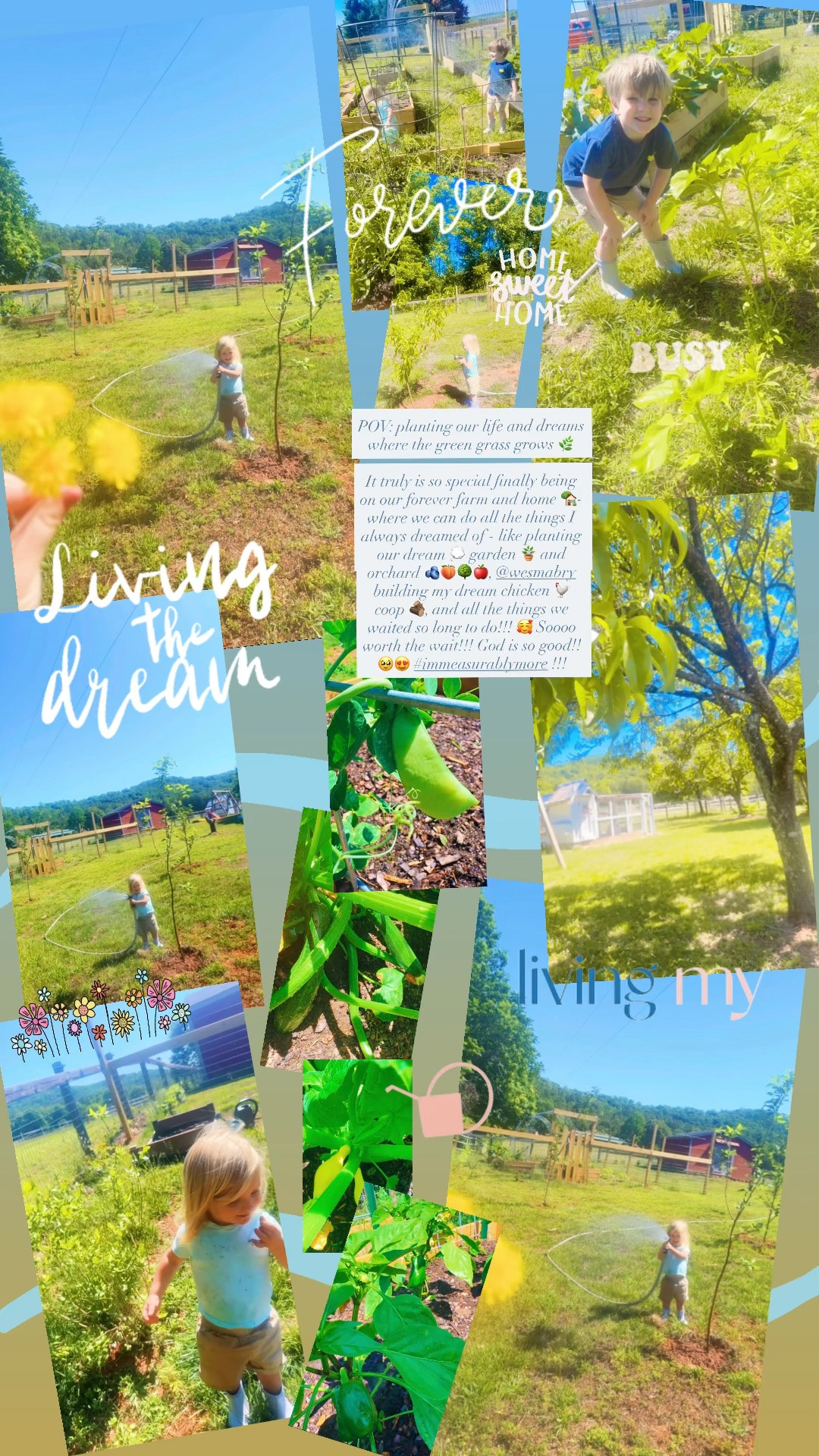 It truly is so special finally being on our forever farm and home 🏡- where we can do all the things I always dreamed of - like planting our dream 💭 garden 🪴 and orchard 🫐🍑🌳🍎, @wesmabry building my dream chicken 🐓 coop 🪵, and all the things we waited so long to do!!! 🥰 Soooo worth the wait!!! God is so good!! 🥹😍 #immeasurablymore !!!

#LTKdayinmylife #LTKmomlife