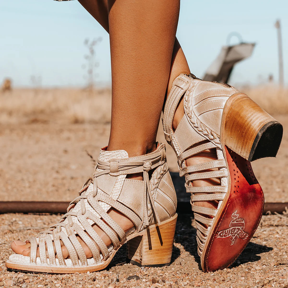 FREEBIRD STORES - WAZEE | Freebird Stores