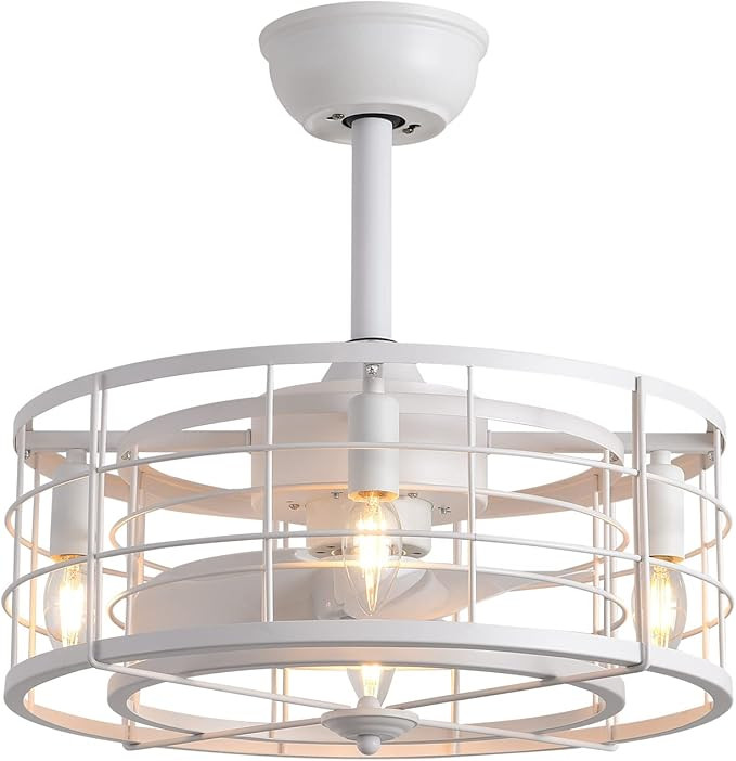 Caged Ceiling Fans with Lights Remote Control, Enclosed Ceiling Fan Lighting Kits with Reversible... | Amazon (US)