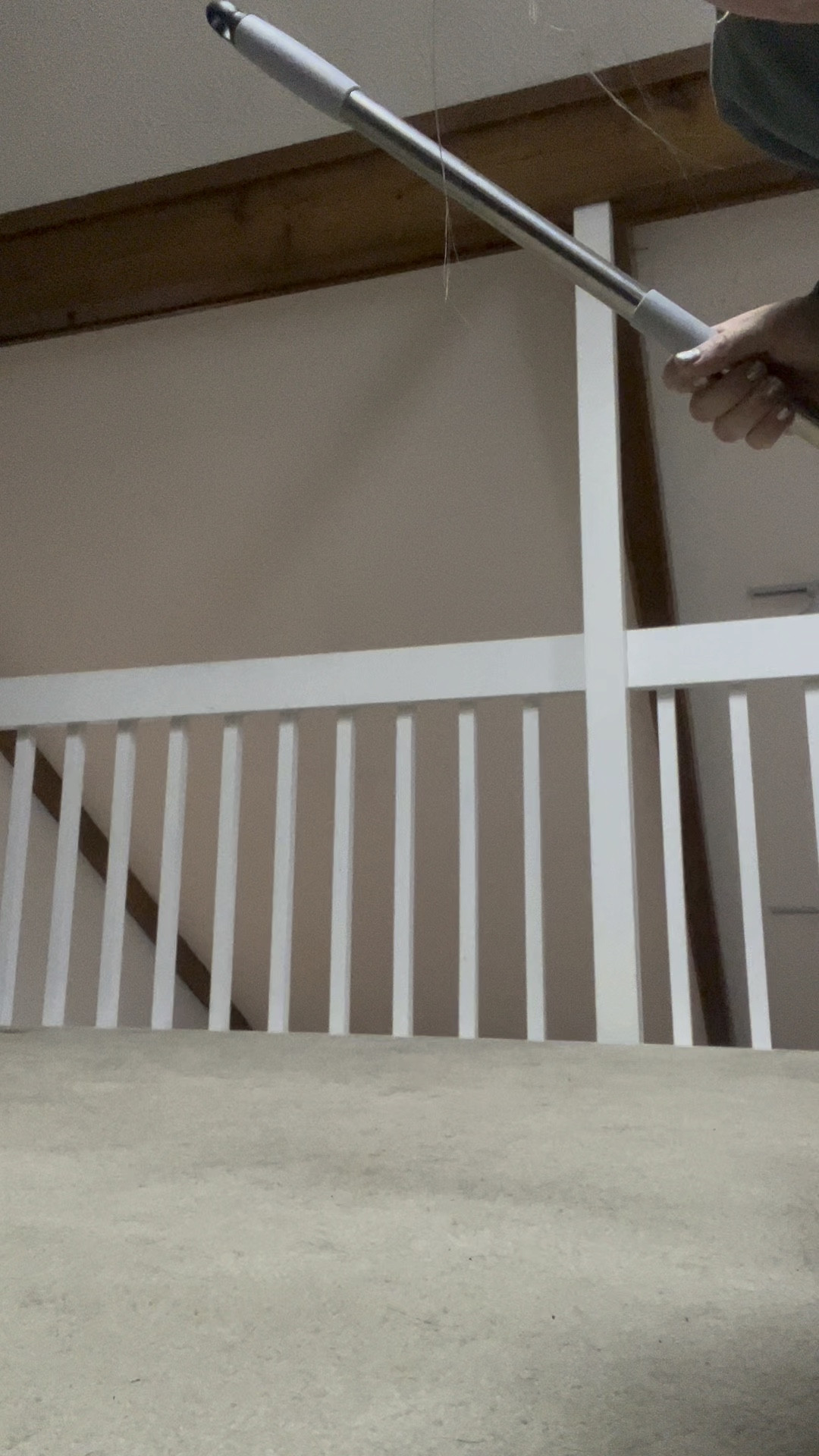 Got a dog and carpet? You need this? 

#LTKHome