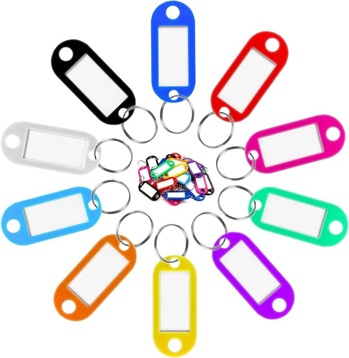 Key Labels, 100 Pcs Key Ring Tags with Ring and Label Window, Key Chain ID Tags with Container fo... | Amazon (US)