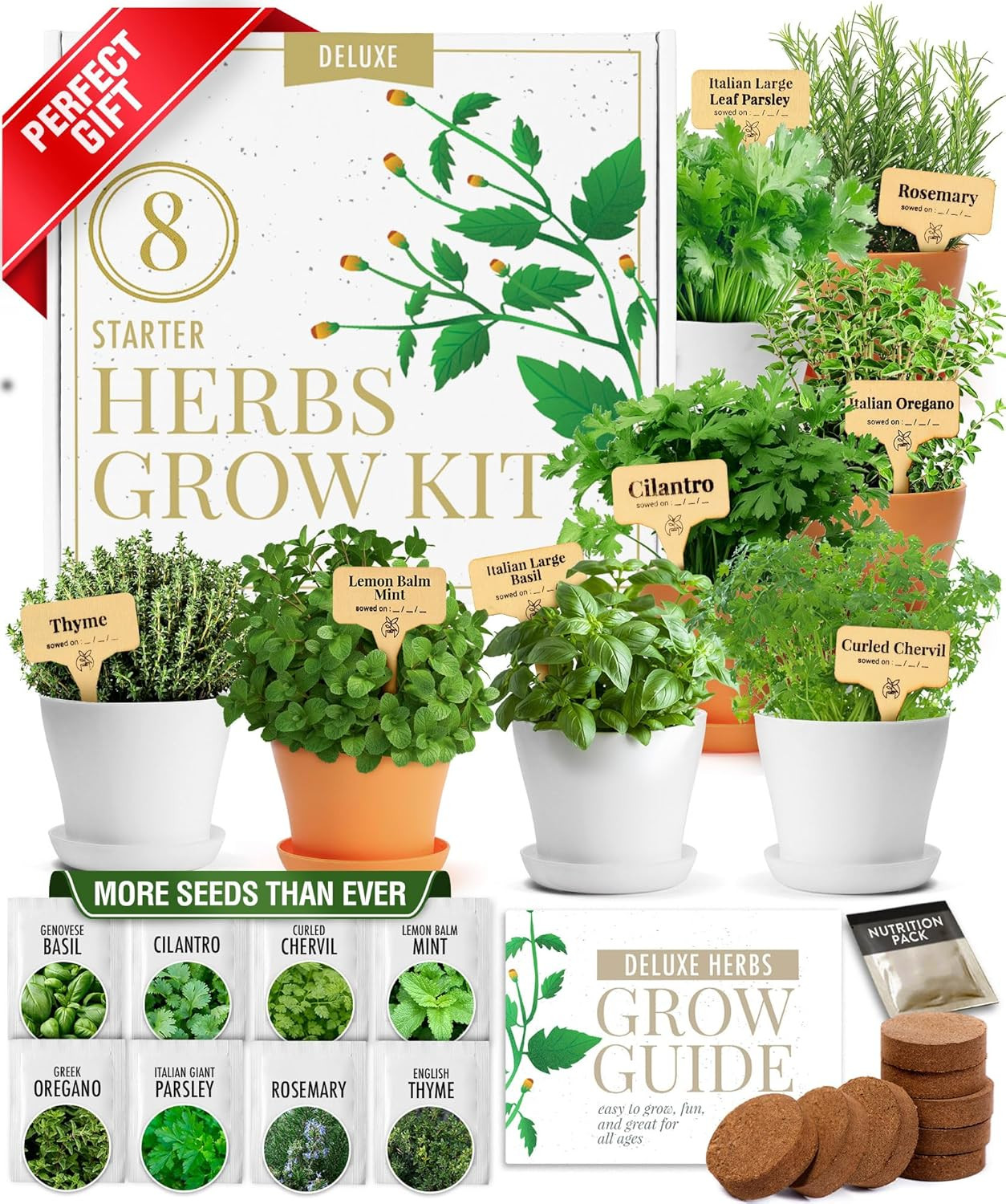 HOME GROWN Gift Herb Kit – 8 Herb Seeds Set with Basil, Cilantro, Mint & More, Complete Indoor ... | Amazon (US)